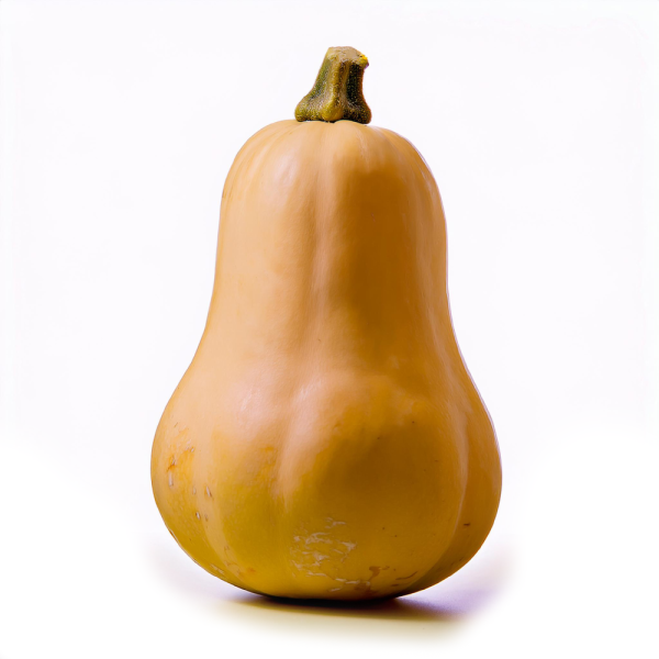 butternut