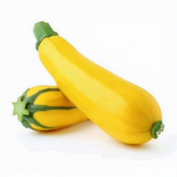 Courgette jaune juillet-août