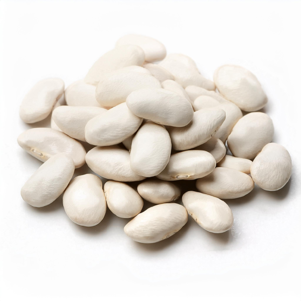 Haricot sec blanc