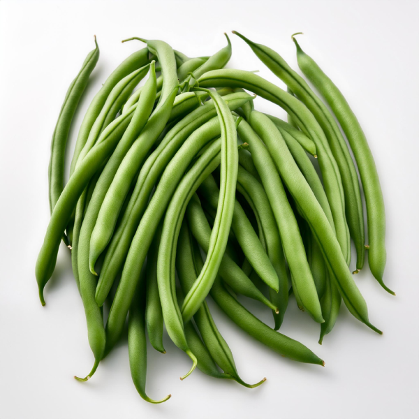 Haricot vert récolte manuelle