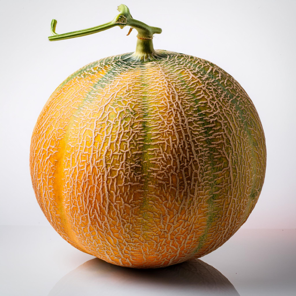 Melon 600 à 800g