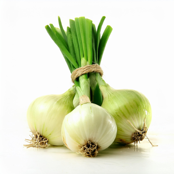 Oignon blanc botte