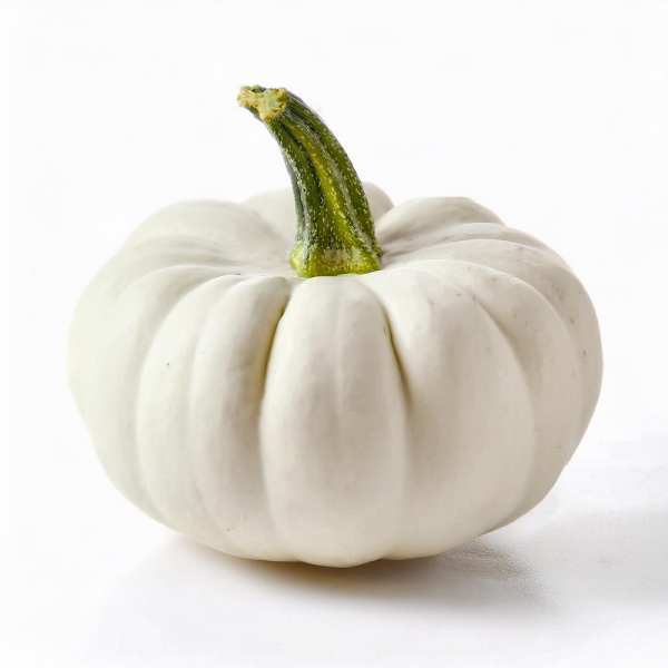 Pâtisson blanc ou jaune