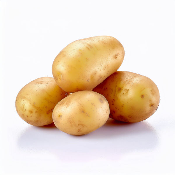 Pomme de terre primeur s24