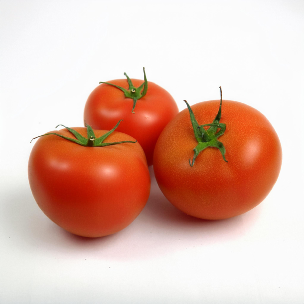 Tomate ronde
