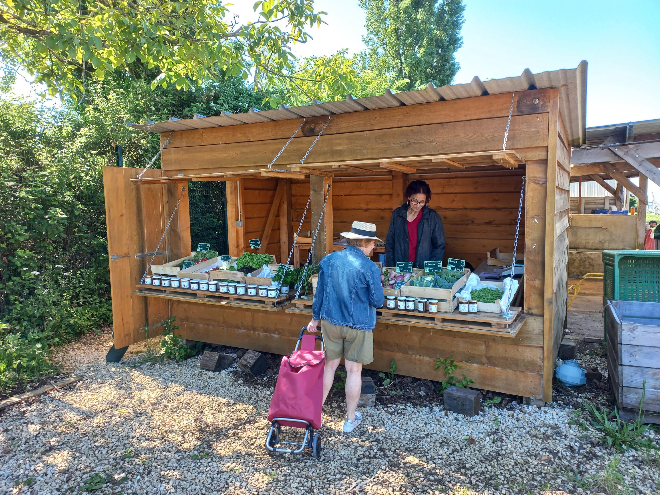Ouverture du kiosque à légumes du Potager Bio du mardi au vendredi !