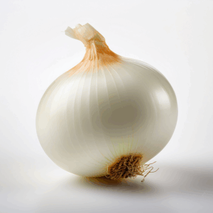 oignon frais