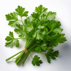 bouquet de persil plat